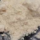 Часовника, Общината