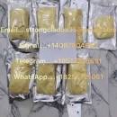 Слънчев бряг