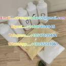 Часовника, Общината