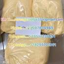 Жреци на музите